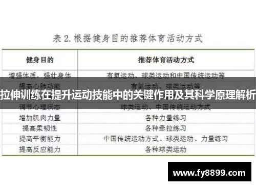 拉伸训练在提升运动技能中的关键作用及其科学原理解析