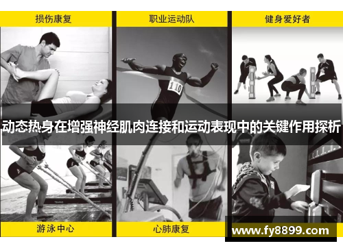 动态热身在增强神经肌肉连接和运动表现中的关键作用探析