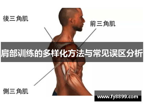 肩部训练的多样化方法与常见误区分析